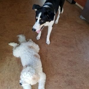 Meet your Posher, Kari